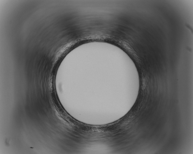 X0000103500632200809121013