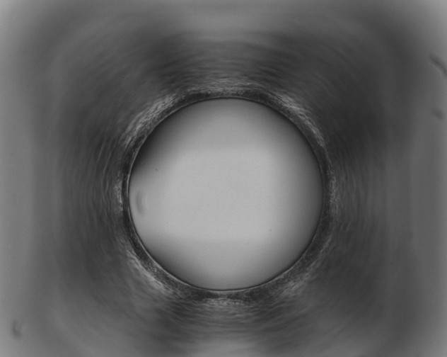 X0000103500633200809121013
