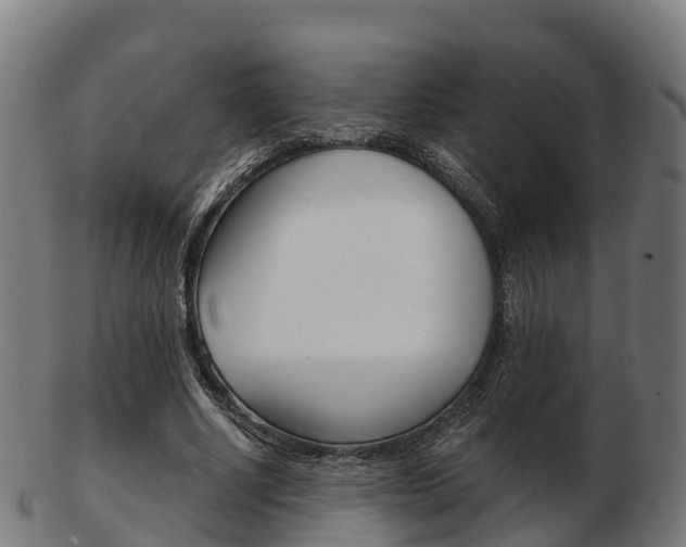 X0000103500634200809121013