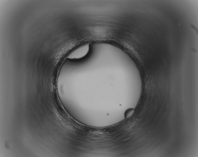 X0000103500635200809121013