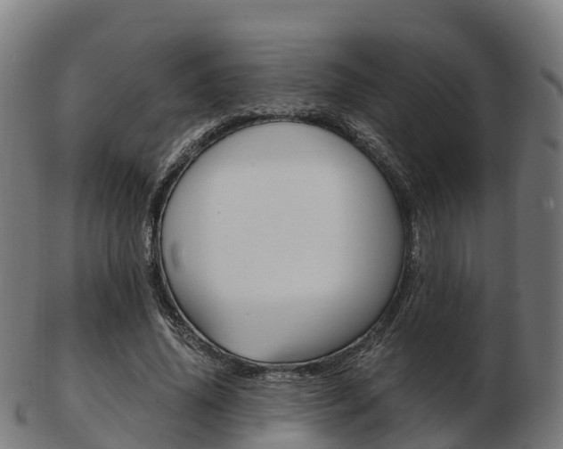 X0000103500636200809121013