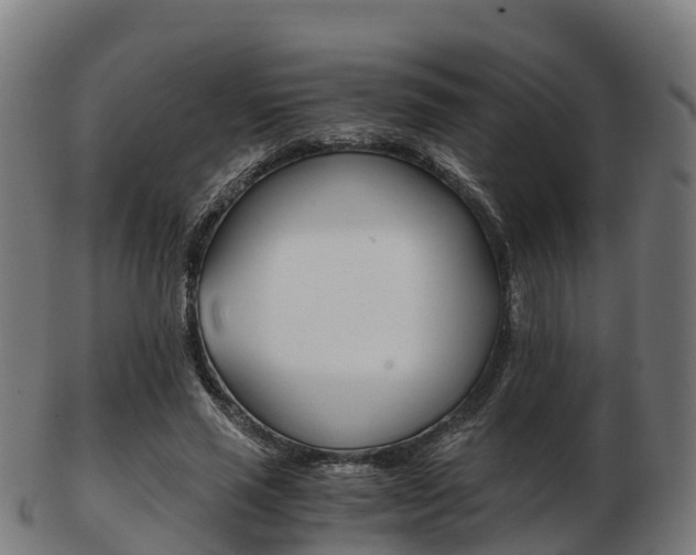 X0000103500637200809121013