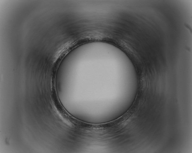 X0000103500638200809121013