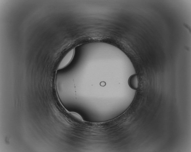X0000103500639200809121013