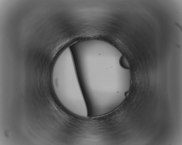 X0000103500640200809121013
