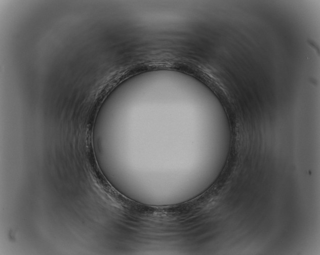 X0000103500641200809121013