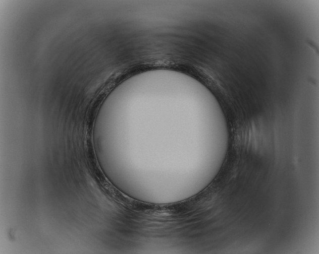 X0000103500643200809121013