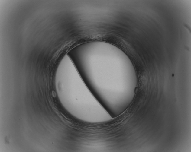 X0000103500644200809121013