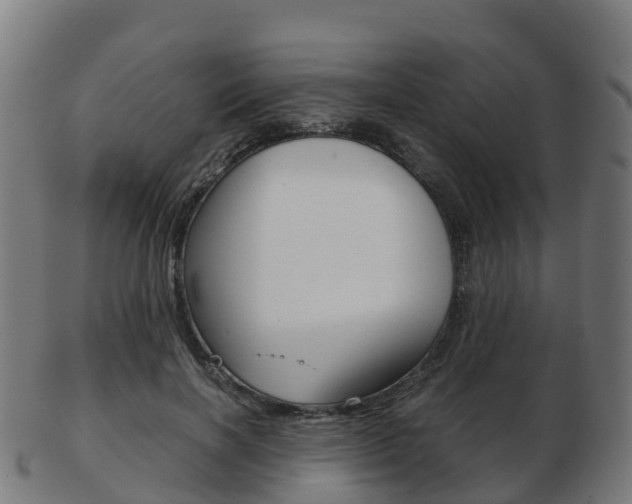 X0000103500646200809121013