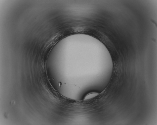 X0000103500648200809121013