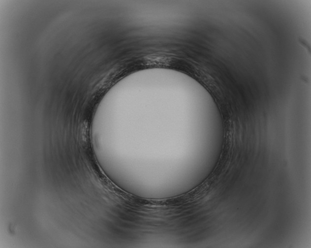 X0000103500649200809121013