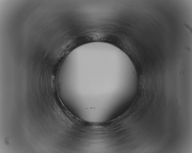 X0000103500650200809121013