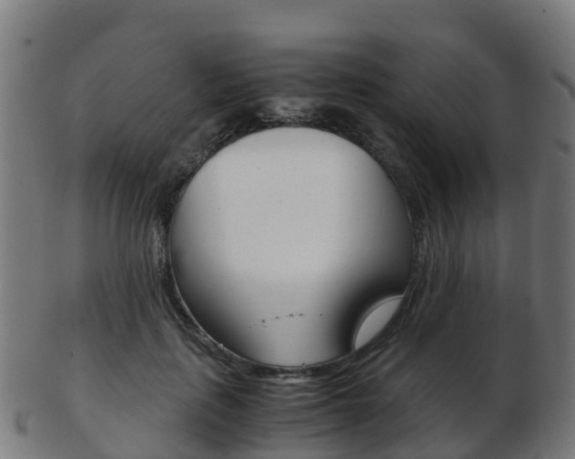 X0000103500651200809121013