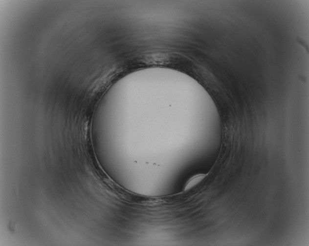 X0000103500652200809121013