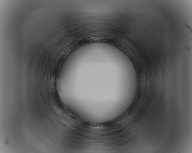 X0000103500653200809121013