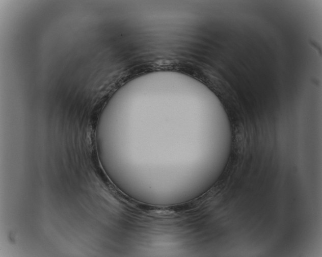 X0000103500654200809121013
