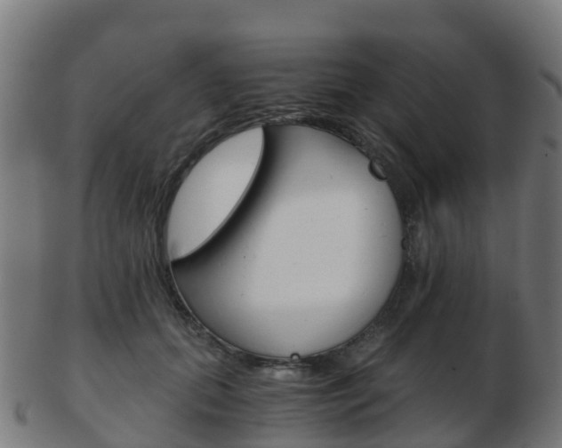 X0000103500655200809121013