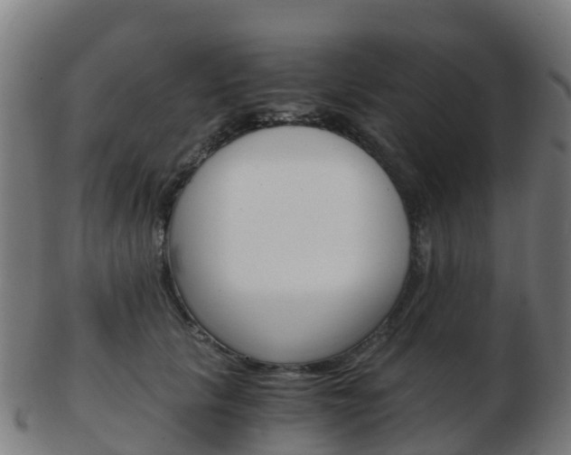 X0000103500657200809121013