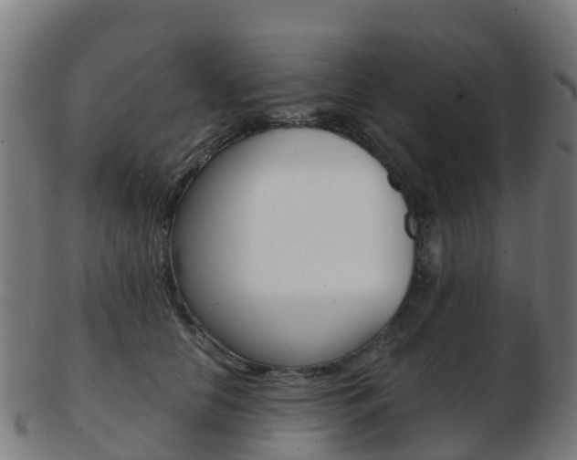 X0000103500658200809121013
