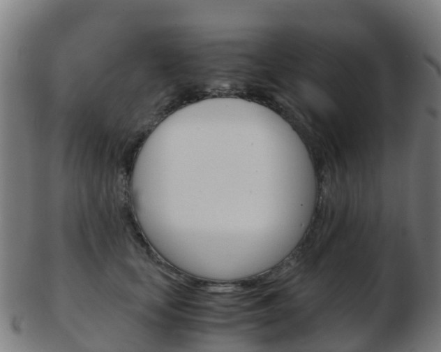 X0000103500659200809121013