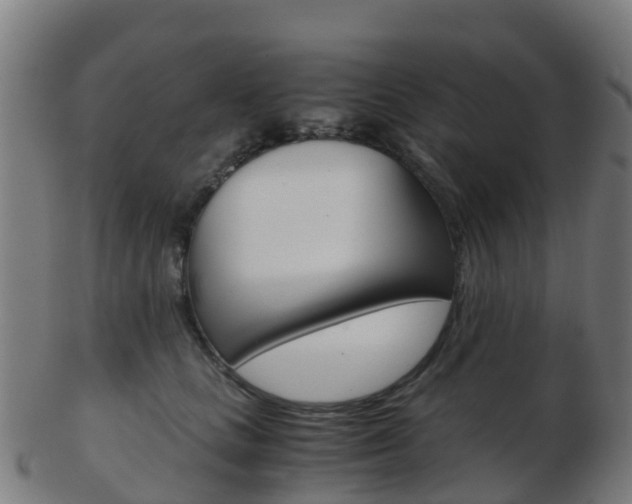 X0000103500661200809121013