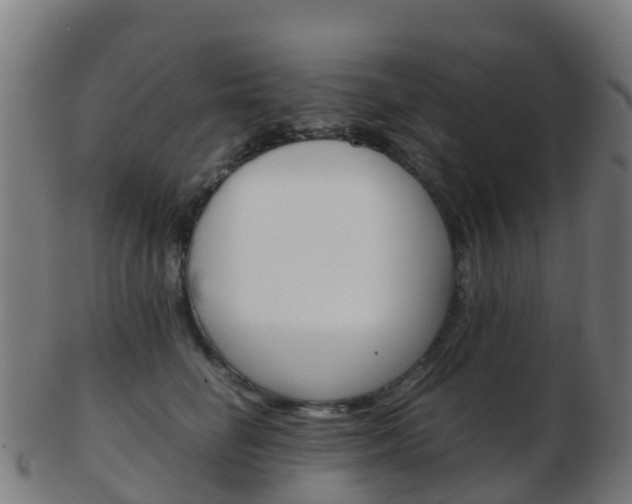 X0000103500662200809121013