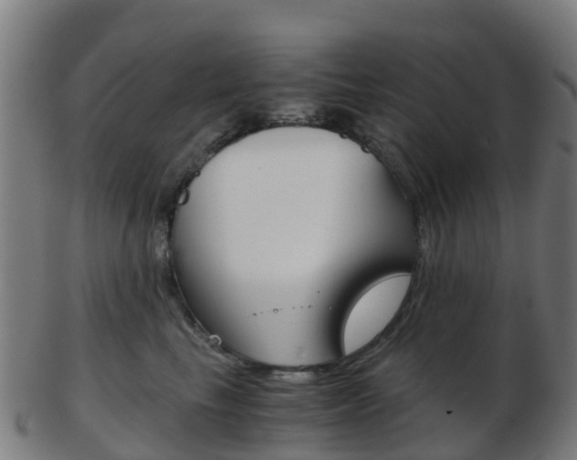 X0000103500665200809121013