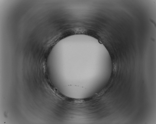 X0000103500666200809121013