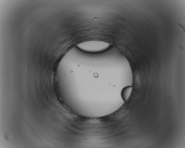 X0000103500668200809121013