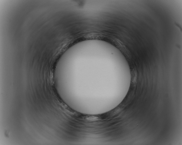 X0000103500669200809121013
