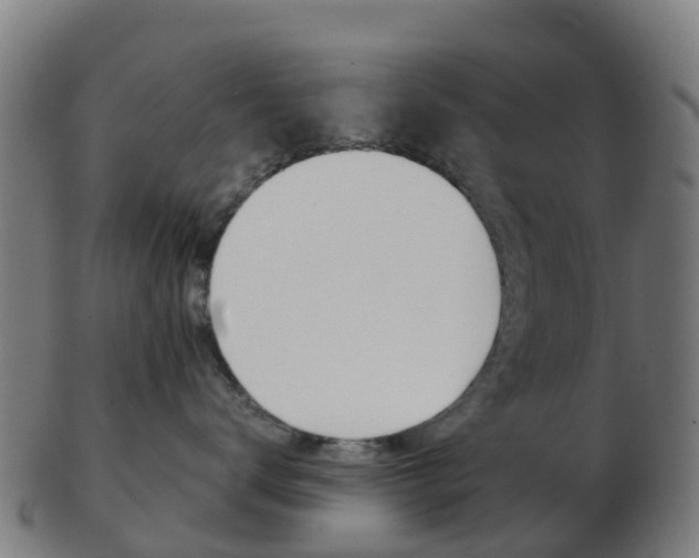 X0000103500672200809121013