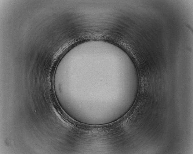 X0000103500674200809121013