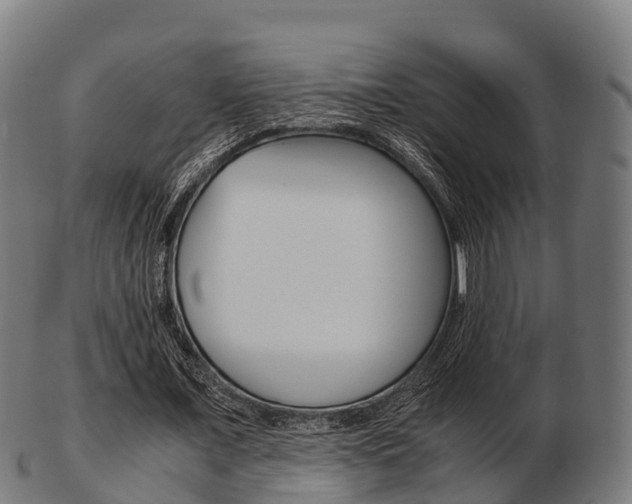 X0000103500675200809121013