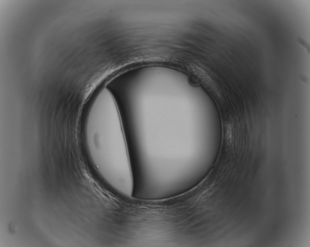 X0000103500676200809121013