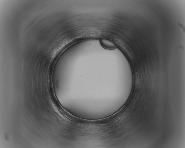 X0000103500677200809121013