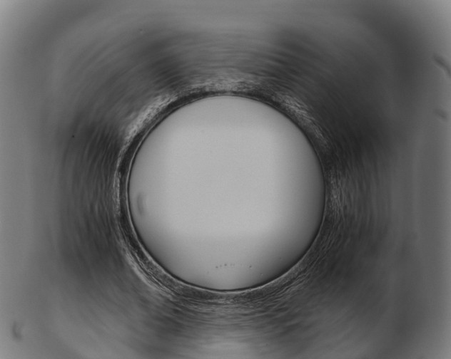 X0000103500678200809121013