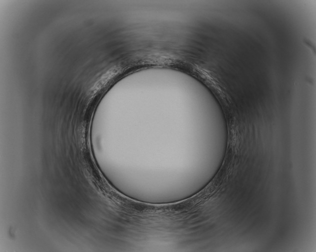 X0000103500679200809121013