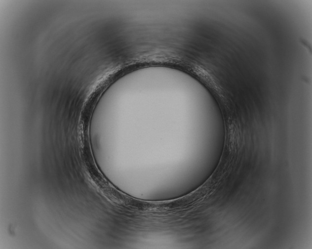 X0000103500680200809121013