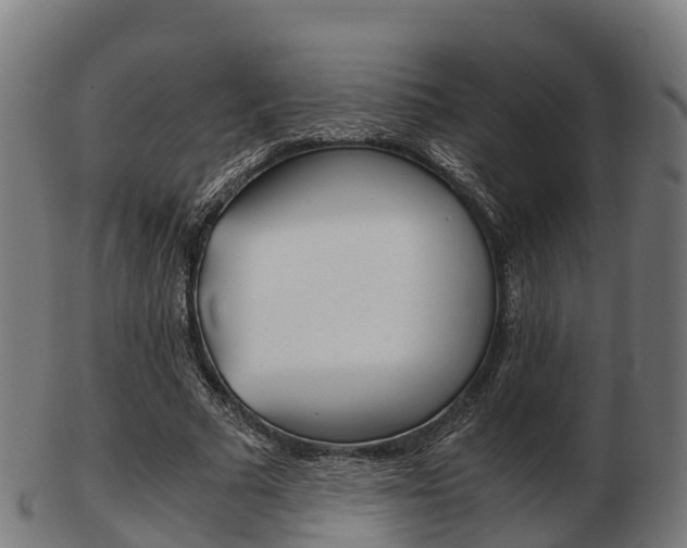 X0000103500681200809121013