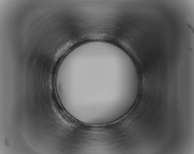 X0000103500682200809121012