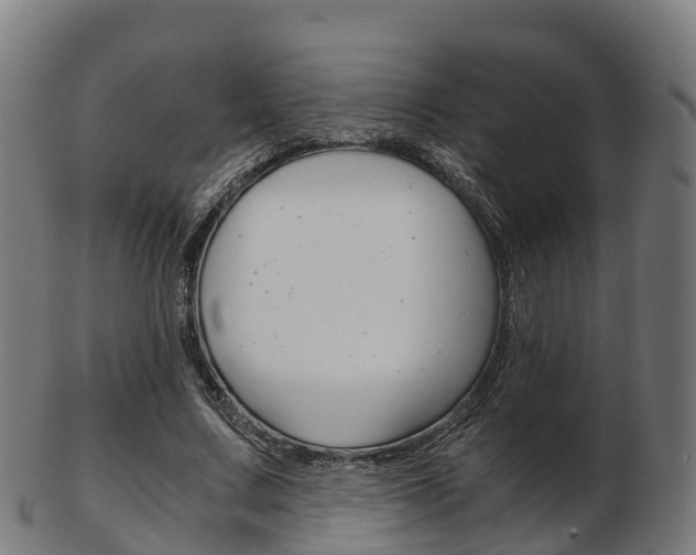 X0000103500683200809121012