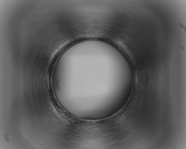 X0000103500684200809121012
