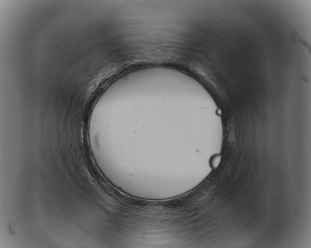 X0000103500685200809121012
