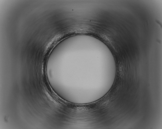 X0000103500686200809121012