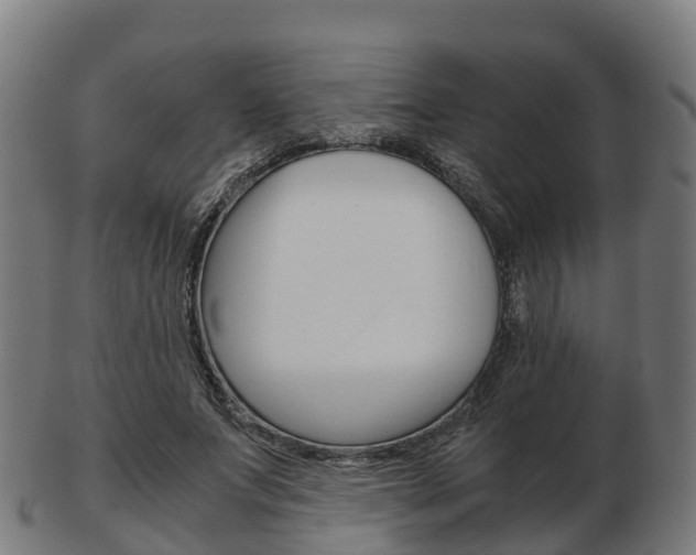 X0000103500687200809121012