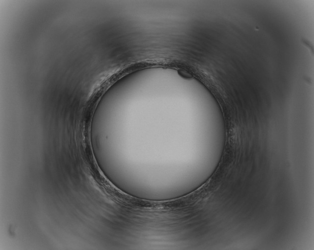 X0000103500688200809121012