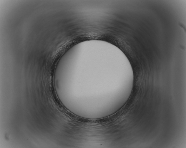 X0000103500689200809121012