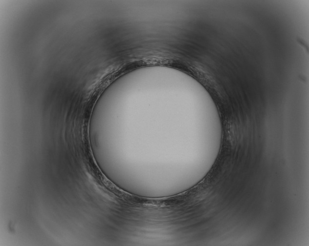 X0000103500690200809121012