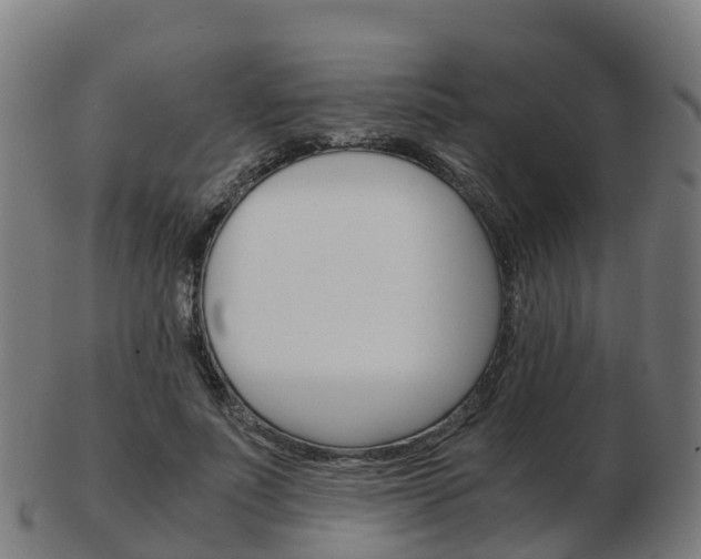 X0000103500691200809121012