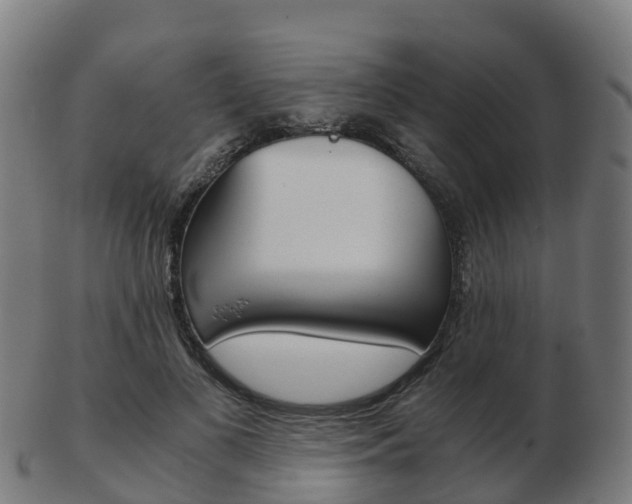 X0000103500693200809121012